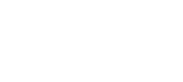 政策
